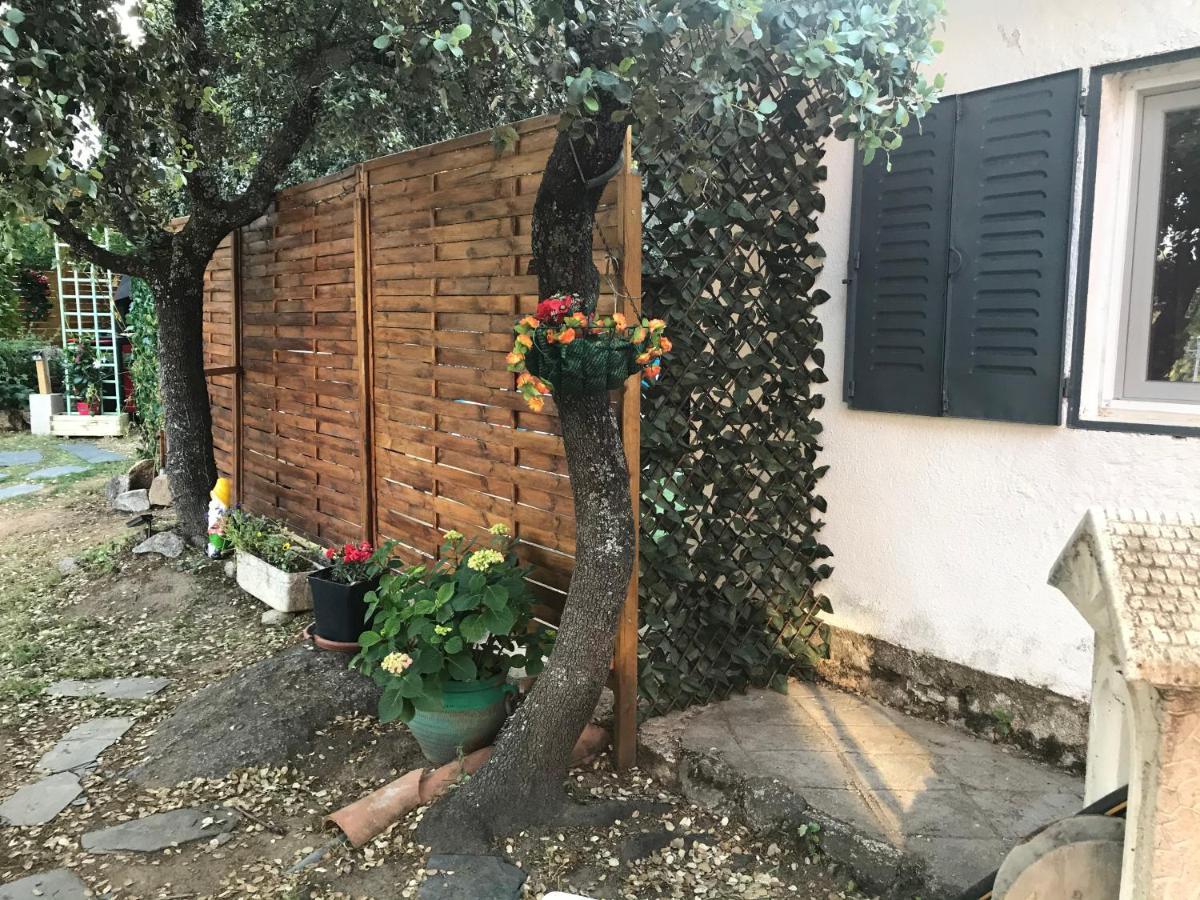 Cabana Jara Y Enebro Collado Villalba Exterior foto